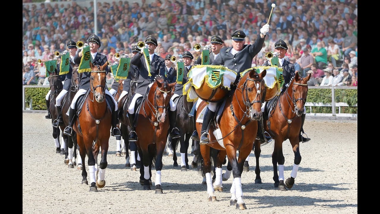 Moritzburger Hengstparaden 2019