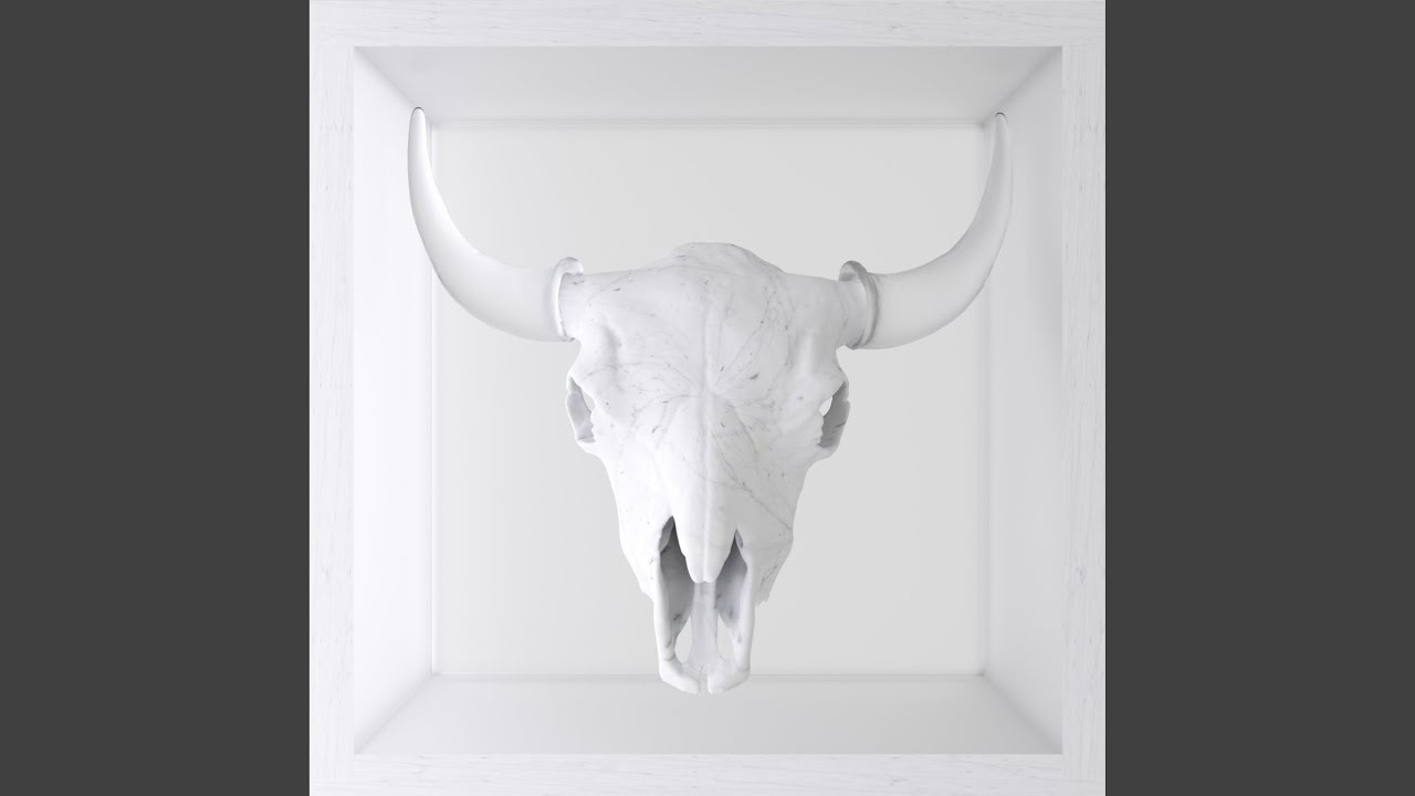 Animal Temporal