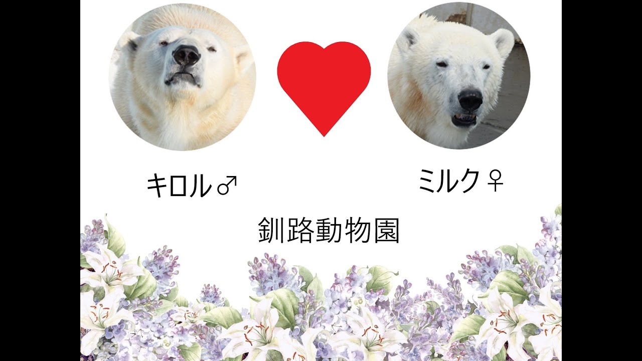 ミルク＆キロル同居
