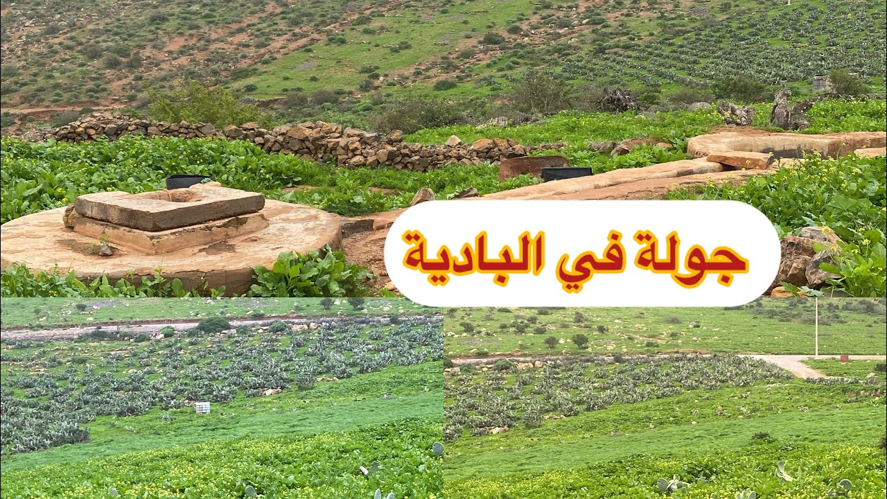 جولة في البادية أجواء رائعة ما شاء الله #اكسبلور #maroc #الجزائر #ايت بعمران