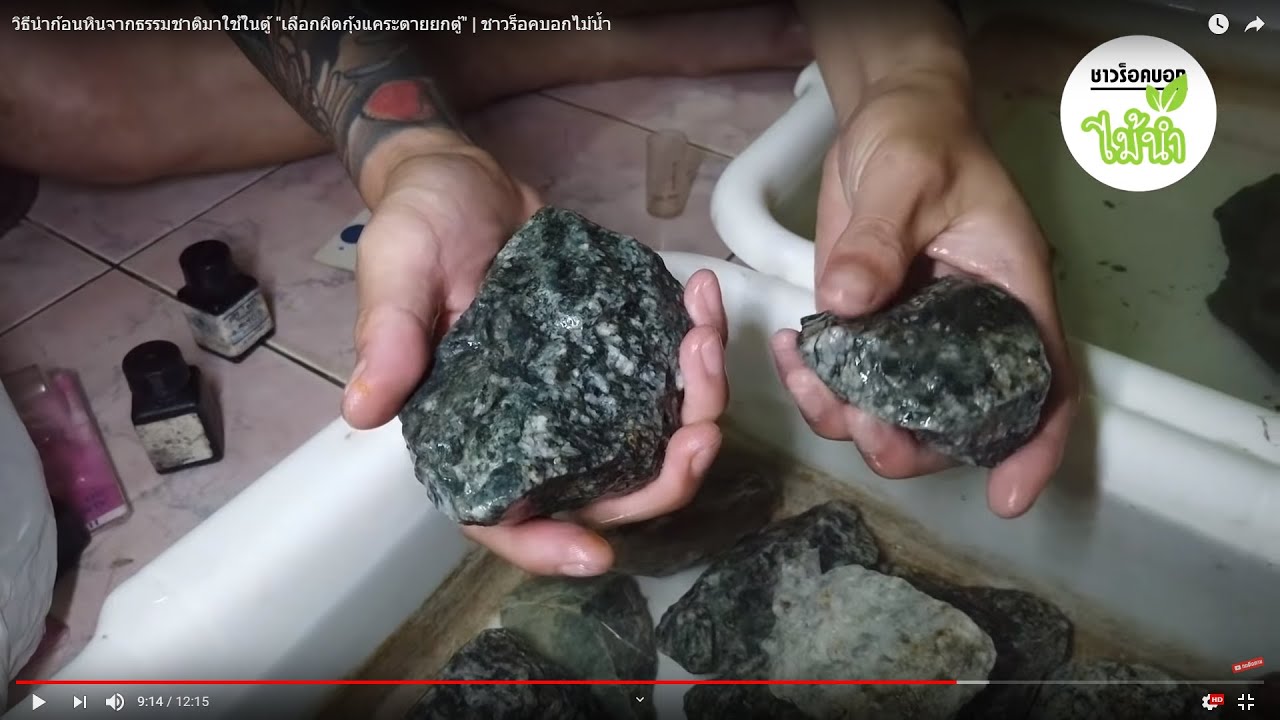 วิธีนำก้อนหินจากธรรมชาติมาใช้ในตู้ 