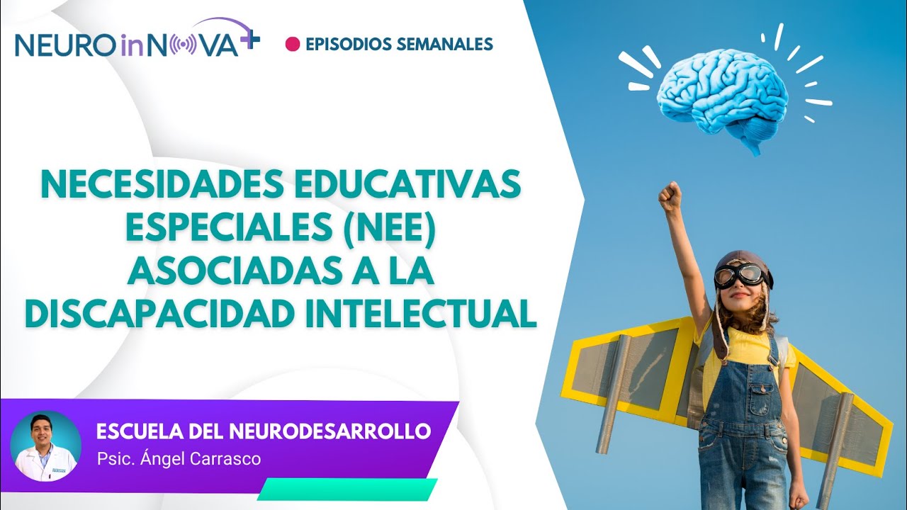 EP13: Necesidades educativas especiales (NEE) asociadas a la discapacidad intelectual
