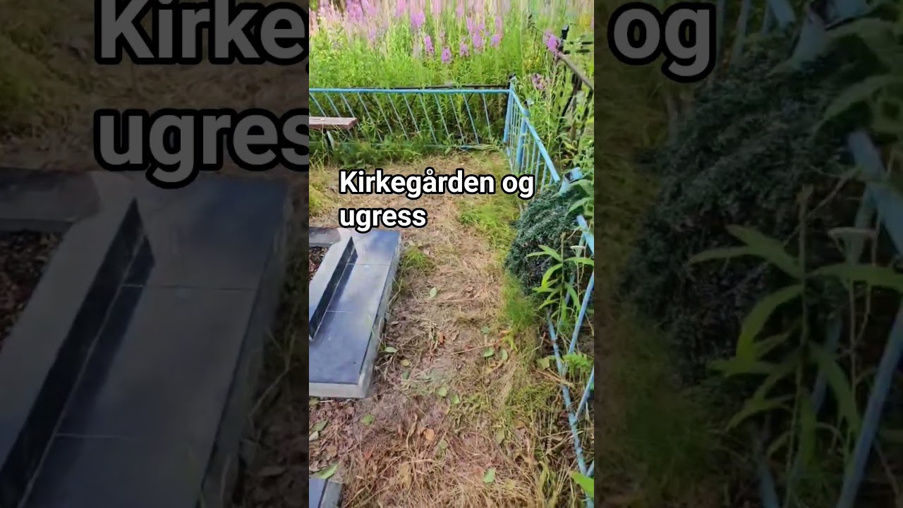 70% eddik funker som bare det Мурмаши опыт Бабушки Наташи  