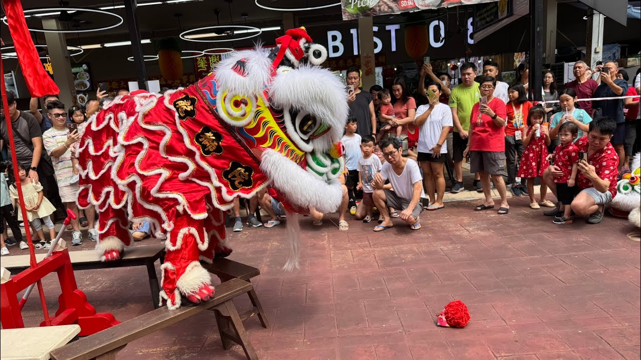 [4K] Roaring Tradition! 🏮🔥 Long Sheng Wushu Cai Qing & Cultural Showcase at 448 Clementi (09.02.25)