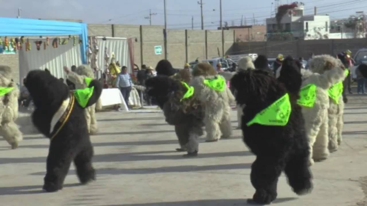 FRATERNIDAD DE OSOS FOGOSOS - VIRGEN DEL CARMEN 2016 DÍA CENTRAL