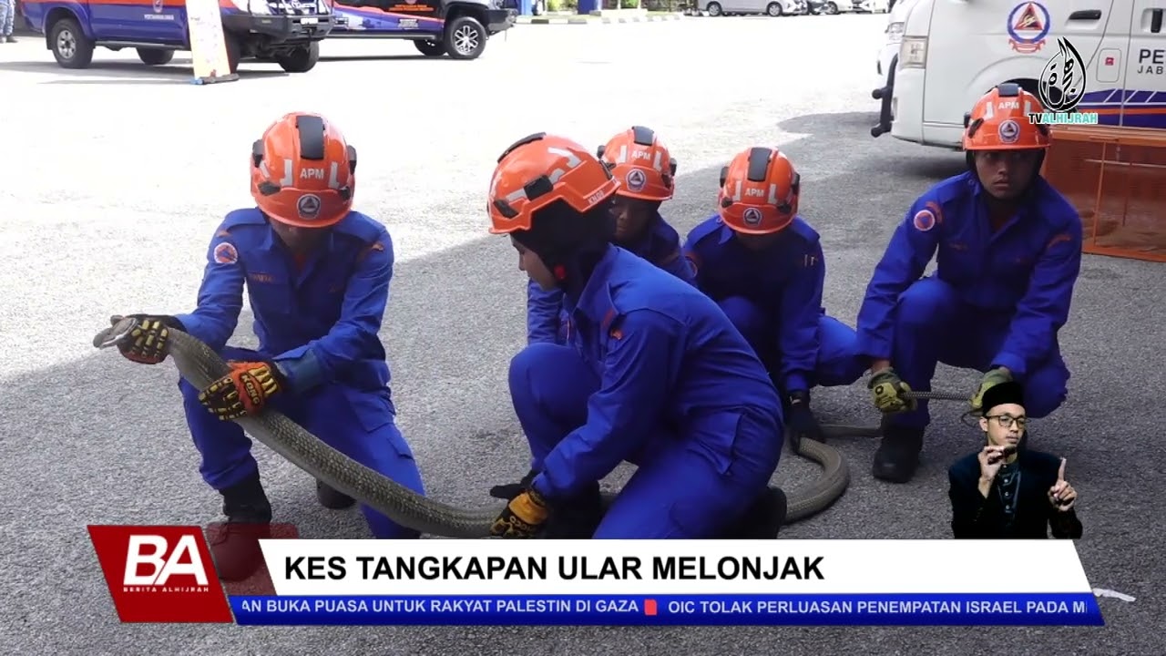 KES TANGKAPAN ULAR MELONJAK