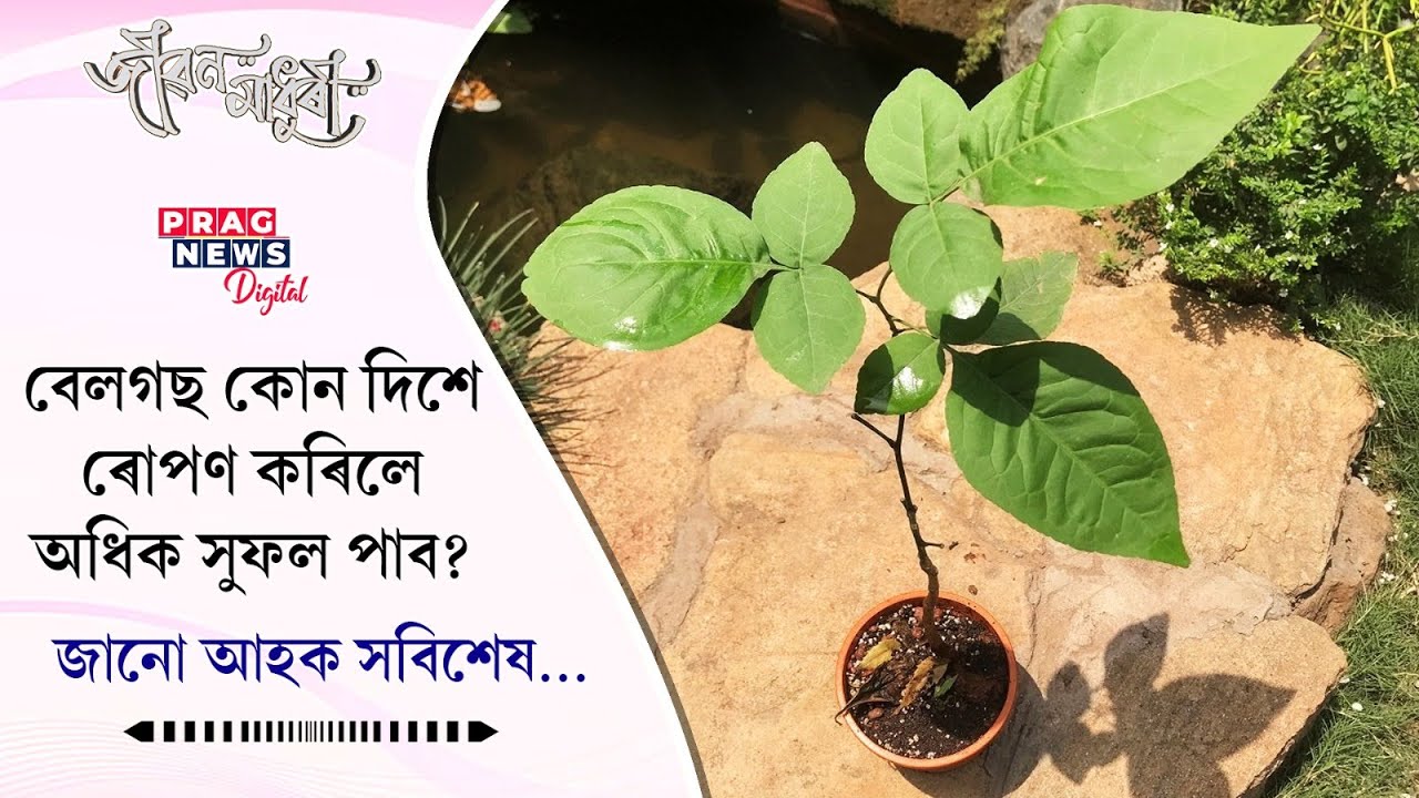 Jibon Madhuri - A spiritual show by Prag News Digital
