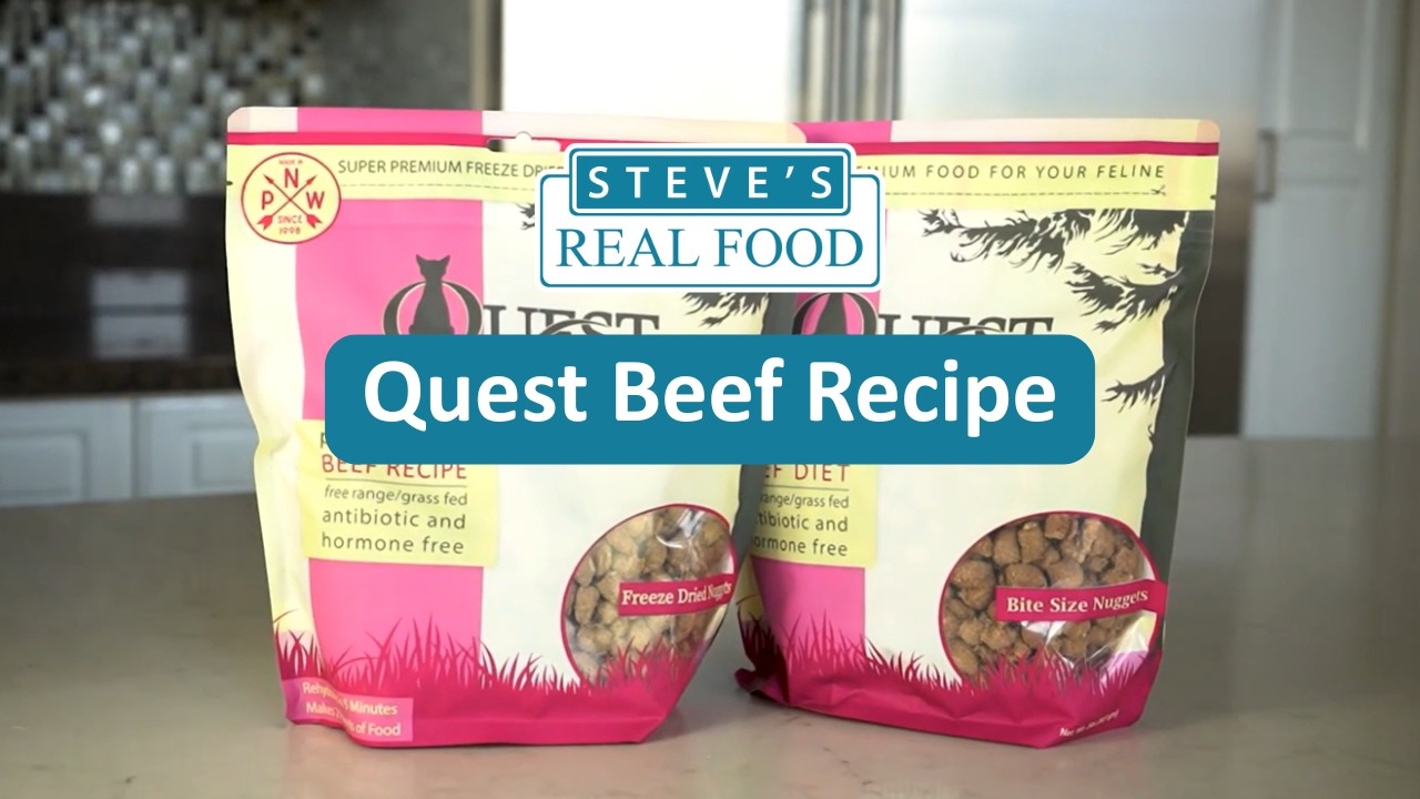 Product Video: Beef Quest Raw Cat Food - Steve's Real Food