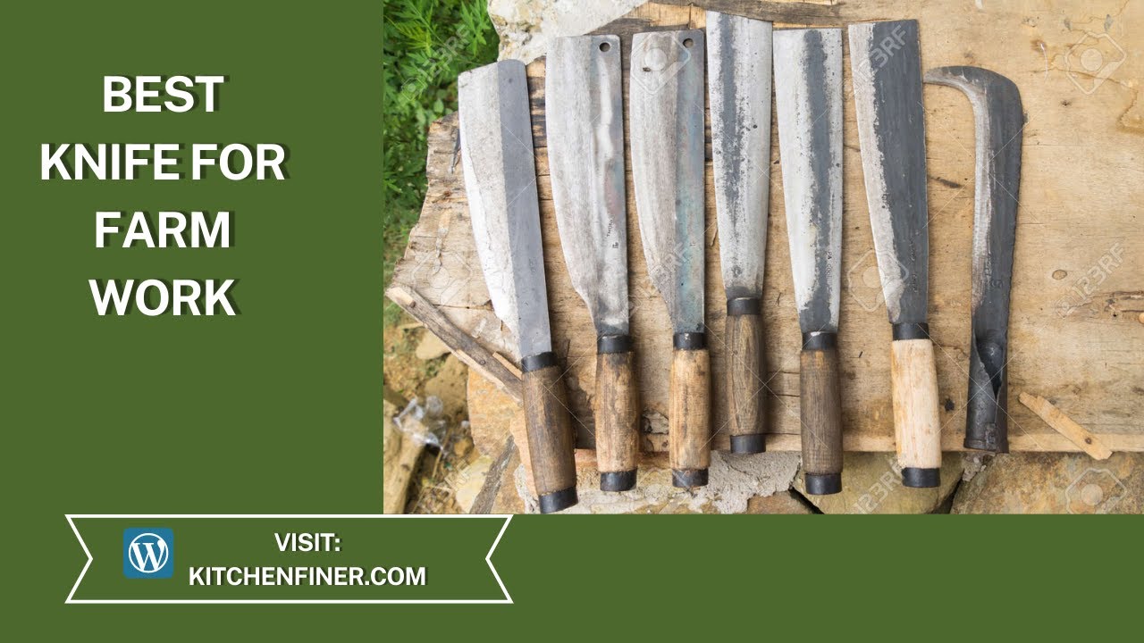 6 Best Knife for Farm Work in 2022 Most Exclusive Knives