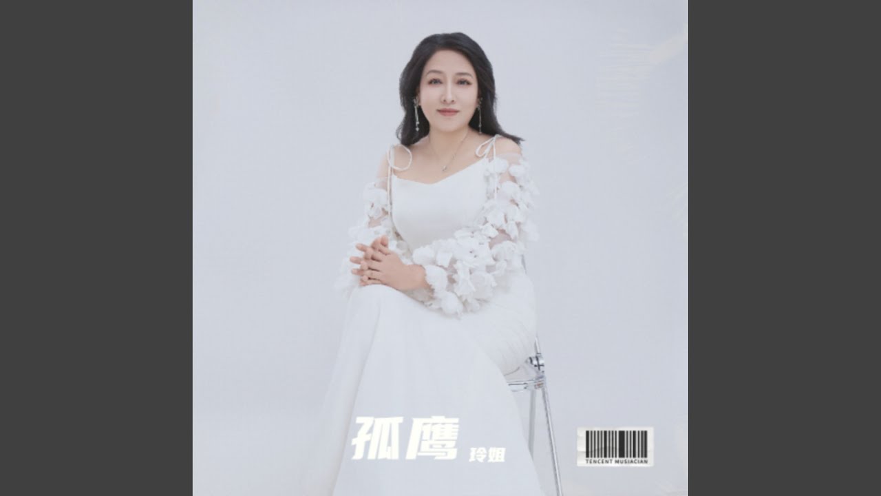 孤鹰