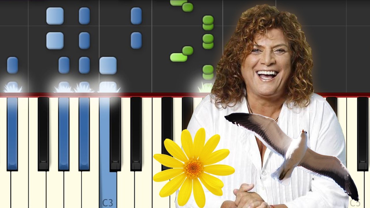 Señora Señora / Denisse de Kalafe / Piano Tutorial / Notas Musicales