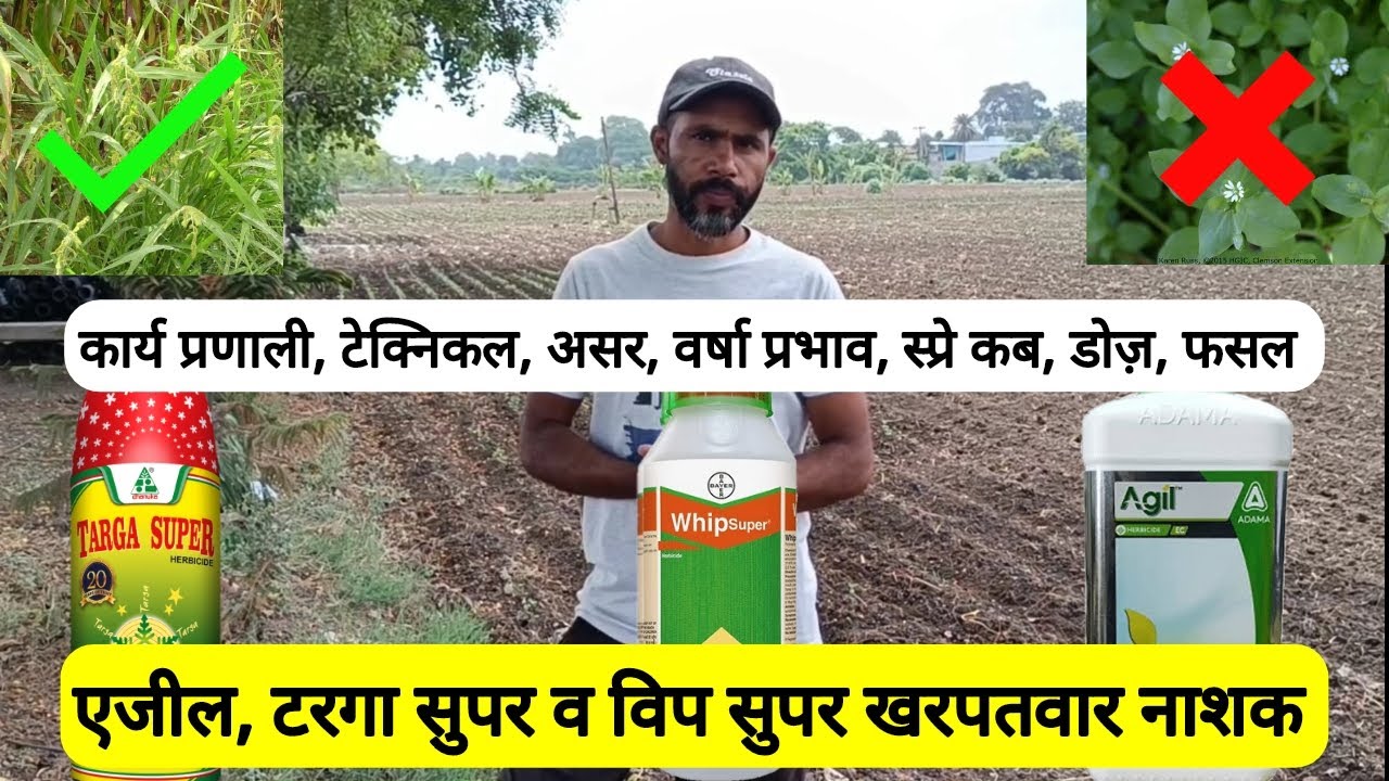 Agil | Targa super | Whip super | सकड़ी पत्ती खरपतवार नाशक | Narrow weed herbicide