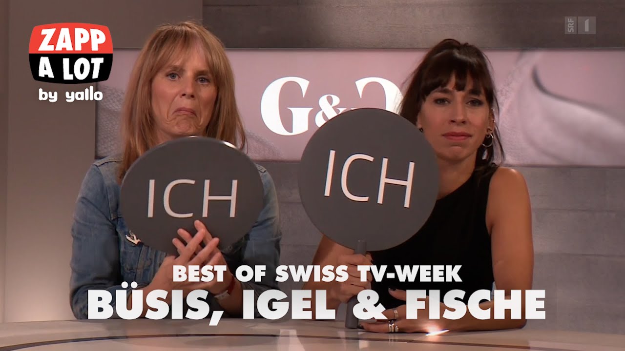 Nr. 8: #Klimakleber vs. Büsis - 👉 Abonniere @zappalot 👈 - Best of Swiss TV-Week