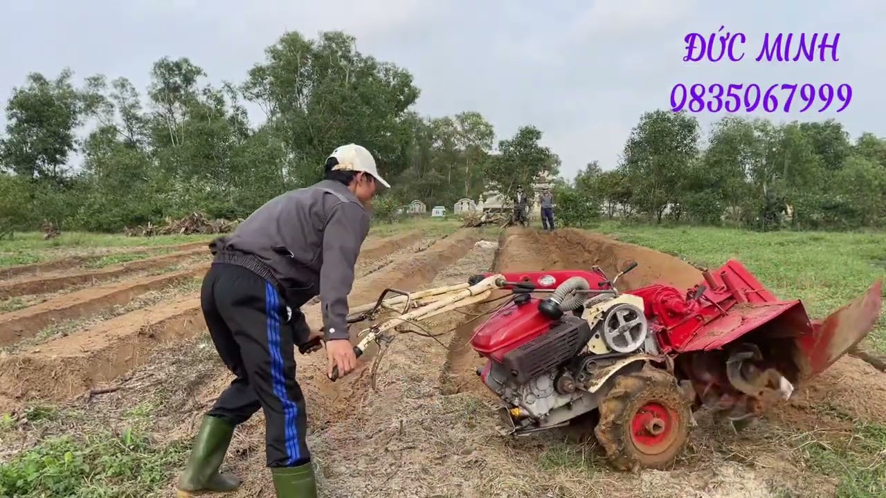 Lên vồng trồng ớt, thuốc lá bằng máy nông nghiệp