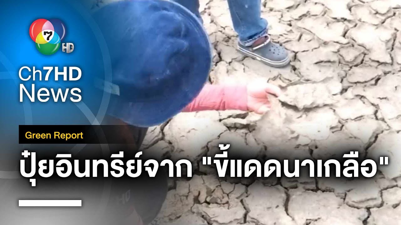 ปุ๋ยอินทรีย์คุณภาพดี จากขยะ 