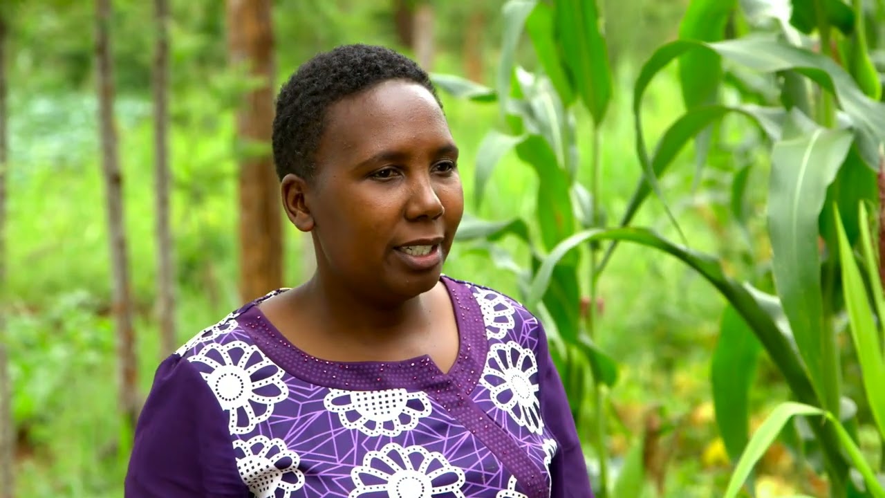 Munda Make Over Series 3-Ep 6: Certified Seeds, Pest & Disease, Post-Harvest and Fish Farming(Bemba)