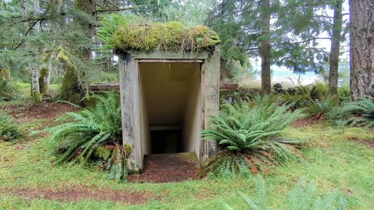 Yorke Island, BC Canada   Sept 5, 2022