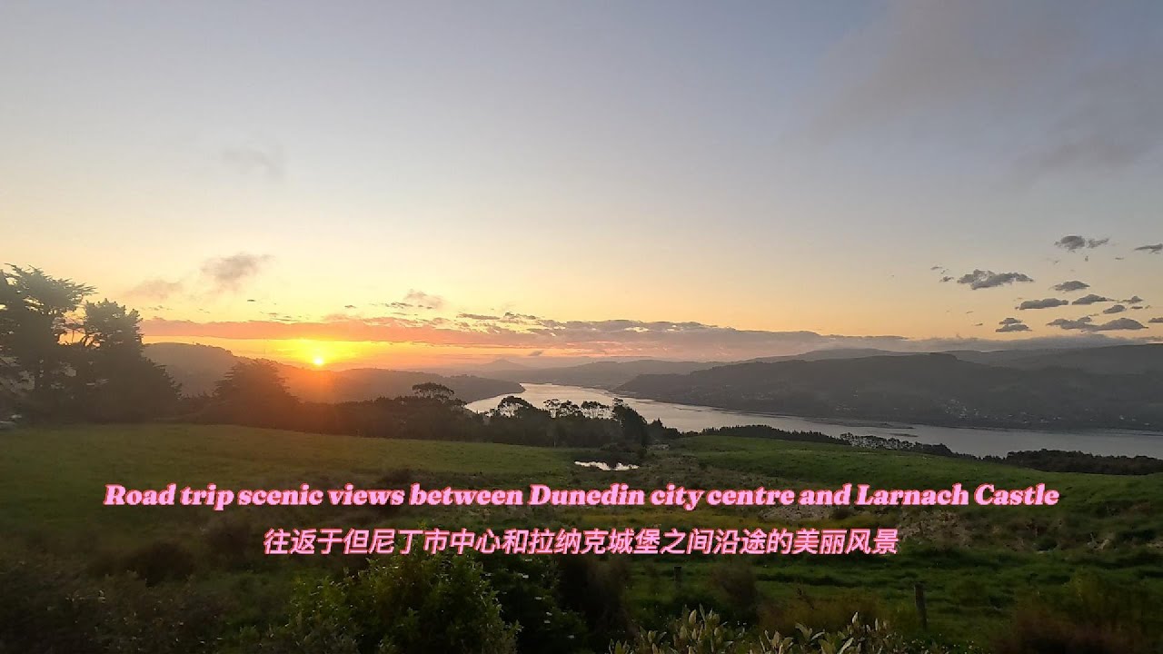 #dailylife #travel #roadtrip #New Zealand # Dunedin to Larnach Castle