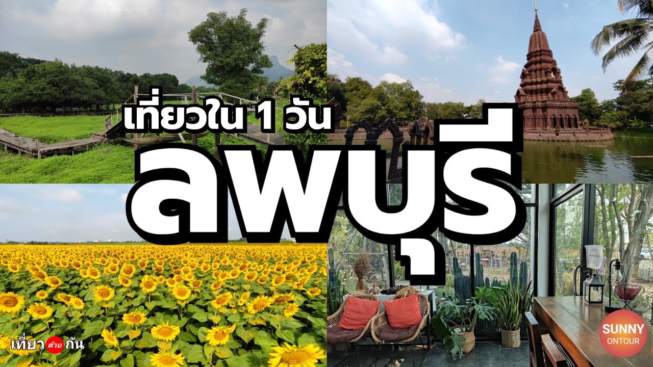 ทุ่งทานตะวัน เที่ยวลพบุรี 1 วัน l Sunflower field, Lopburi | Sunny ontour