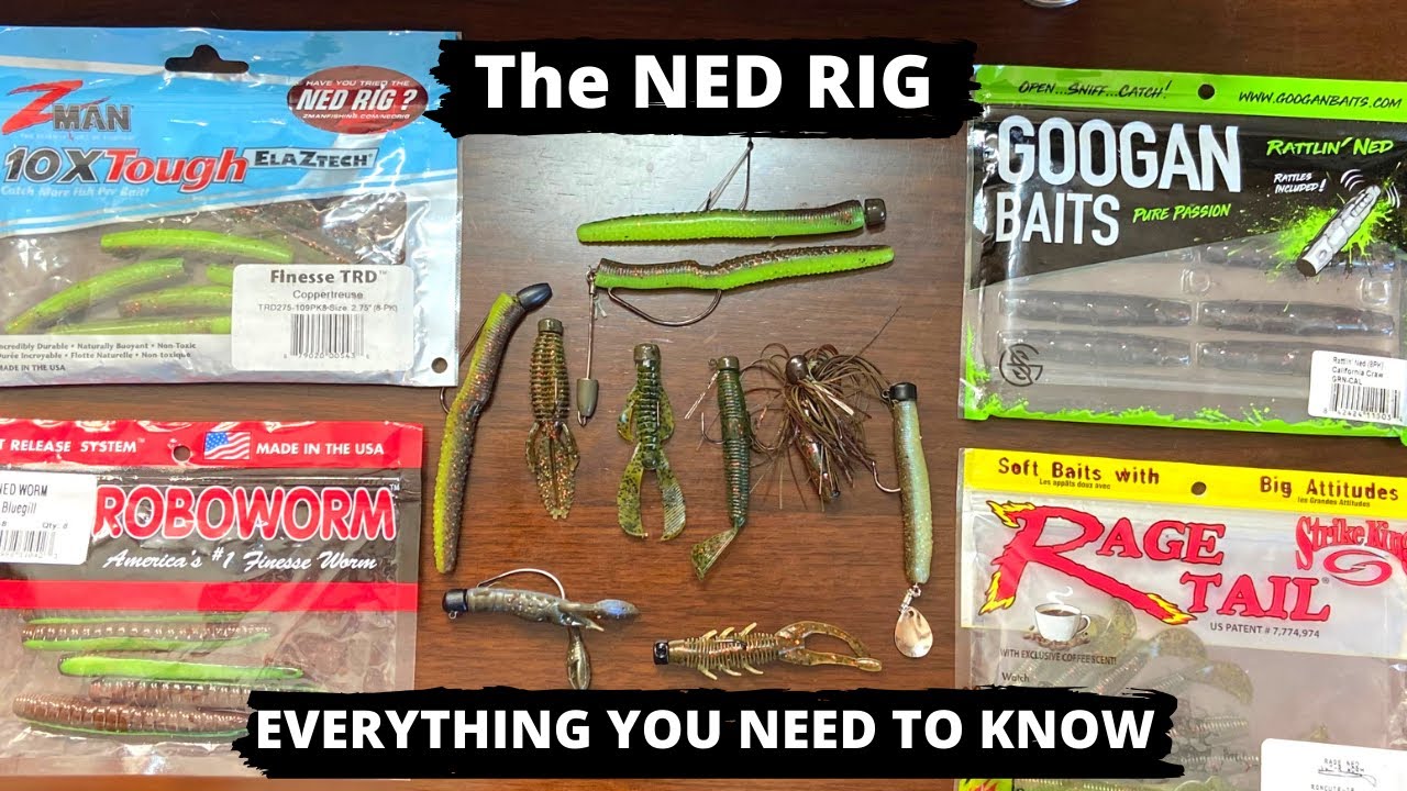 The NED RIG - EVERYTHING you need to know to CATCH MORE BASS