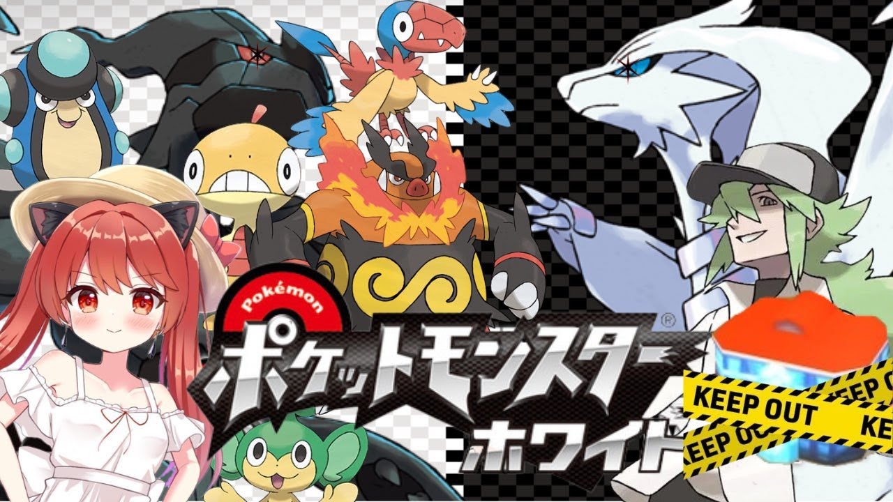 【超高難易度】超不死鳥のポケセン縛り　～ポケットモンスターホワイトver～　#9