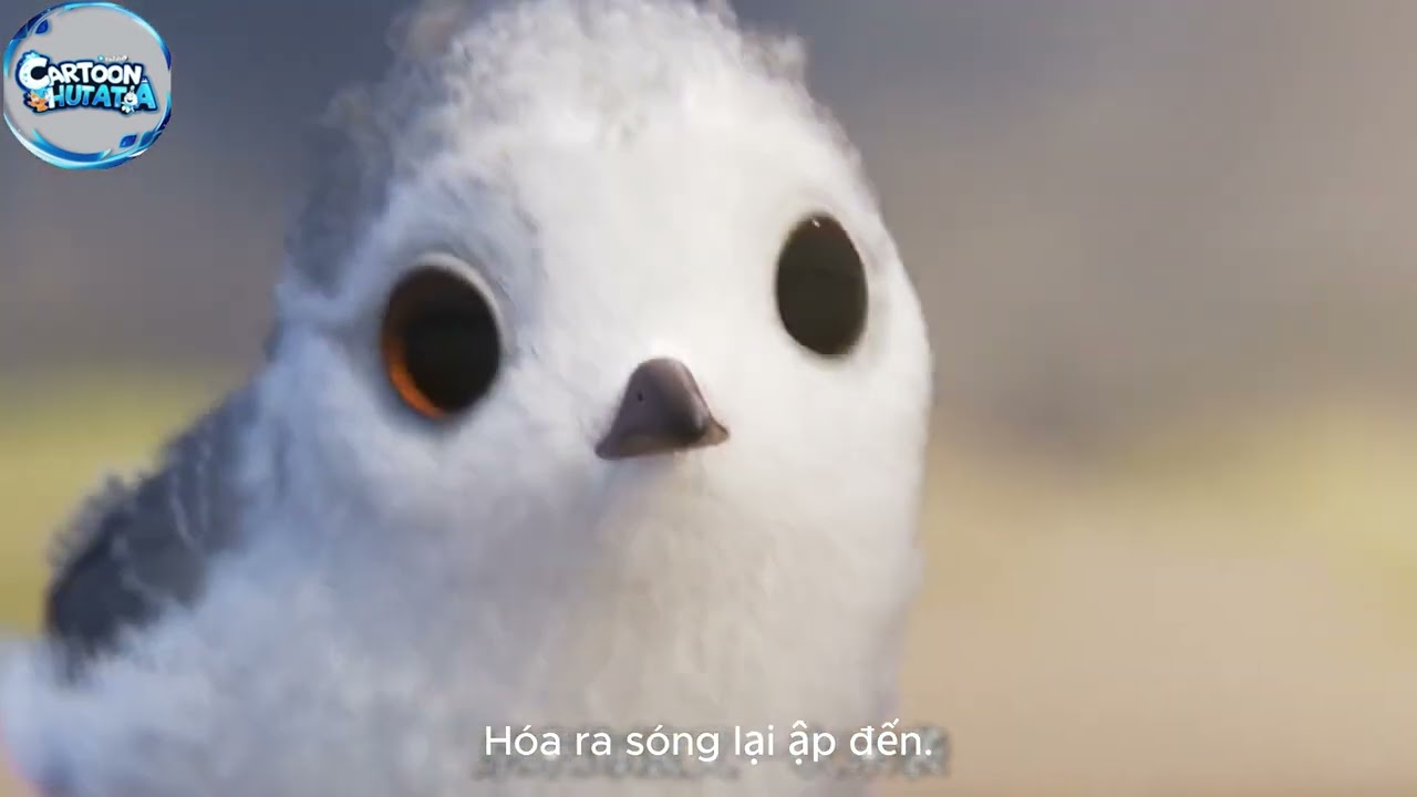 The Journey to Soar High: The Story of a Mature Bird #the meaning of life#viralvideo