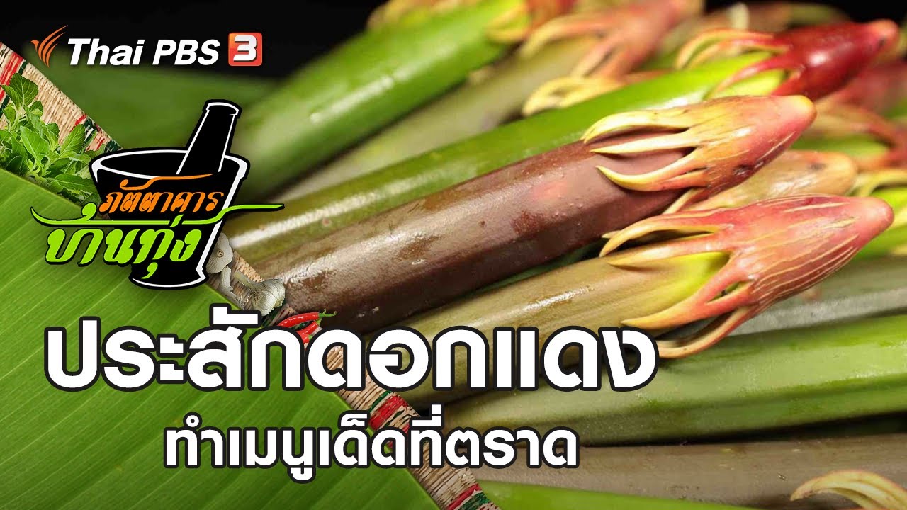 ประสักดอกแดง : ภัตตาคารบ้านทุ่ง (15 ส.ค. 63)
