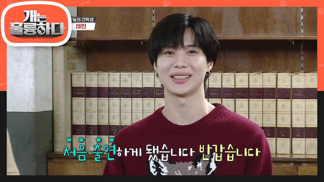 거부할 수 없는 마성의 매력을 가지고 있는 오늘의 견학생 태민♥ [개는 훌륭하다/Dogs Are Incredible] | KBS 201109 방송