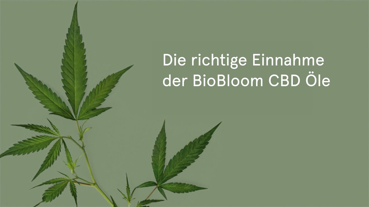 Die richtige Einnahme der BioBloom CBD &Ouml;le 🌱 BioBloom
