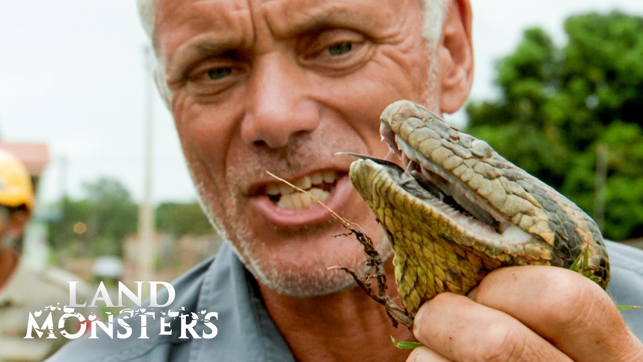 Jeremy Wade's Encounters With Creatures On Land | River Monsters