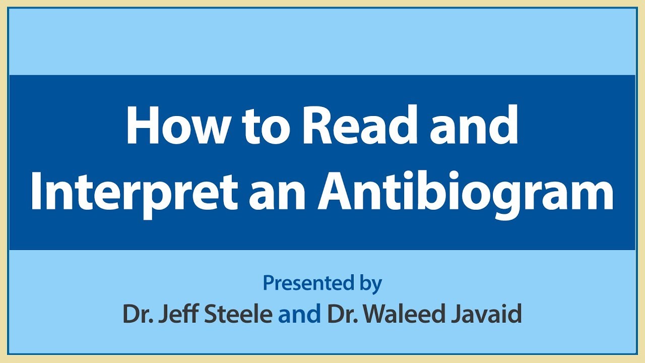 How to Read and Interpret an Antibiogram