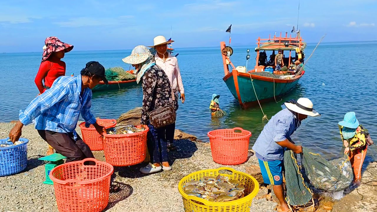 Seafood Paradise at Crab Market! Best Street Food Tour in Kep Province, Kampot, & More, Cambodia