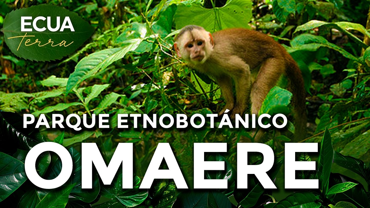 Ecuaterra🌱Parque Etnobotánico Omaere el hogar de monos chichicos | Ecuavisa