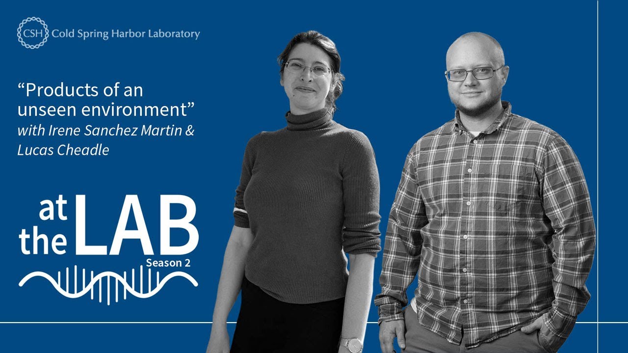 At the Lab: Products of an unseen environment