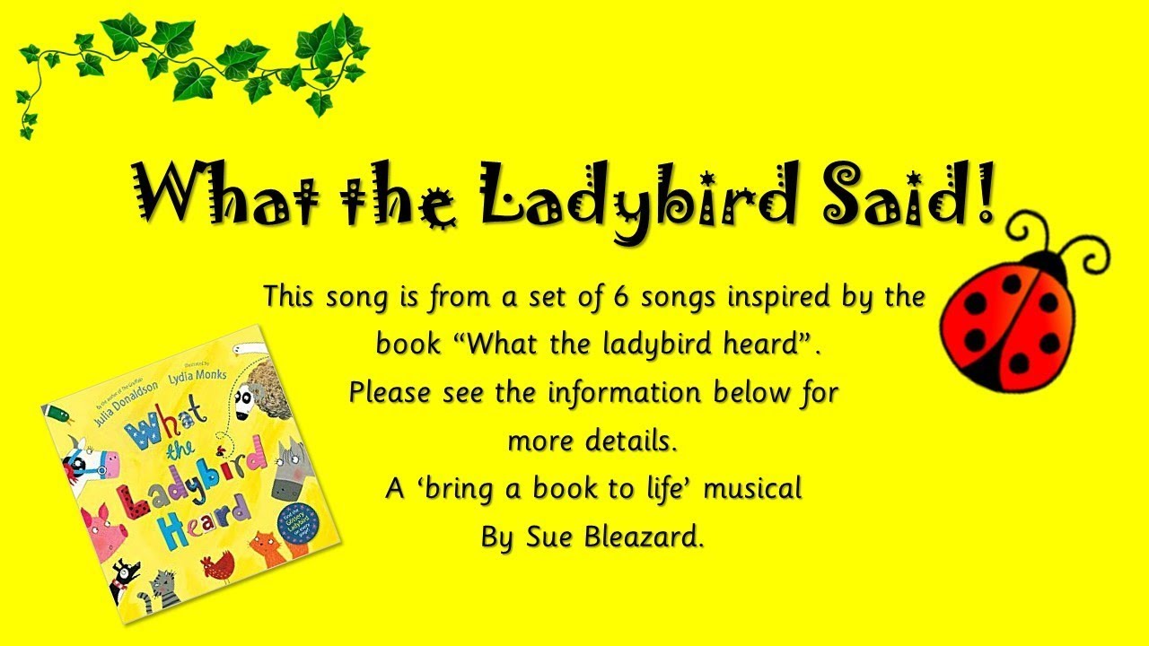 What the ladybird said! Inspired by What the ladybird heard, by Julia Donaldson.