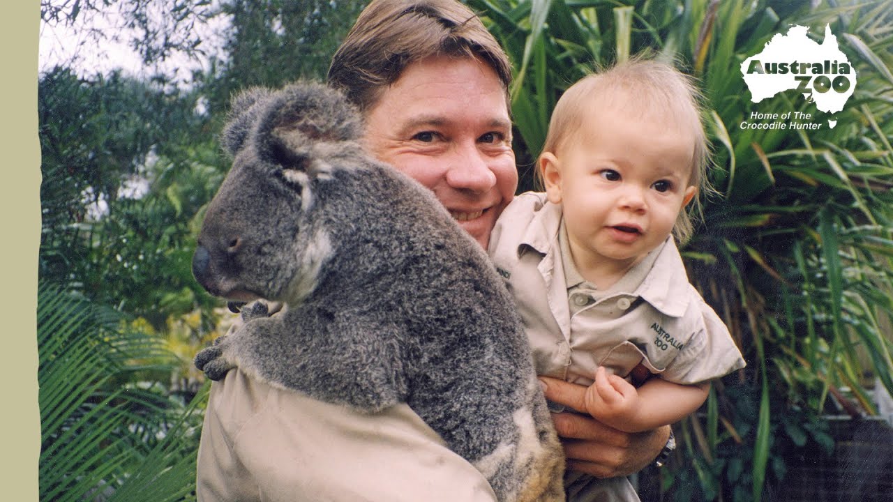 Steve Irwin saves some feisty Koalas | Irwin Family Adventures
