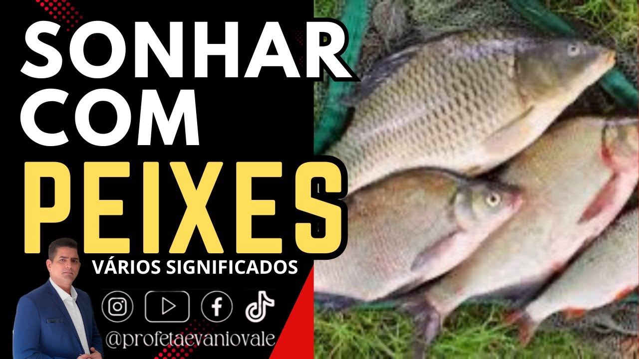 SONHAR COM PEIXES - Vários Significados @profetaevaniovale #oração #sonhar #peixes
