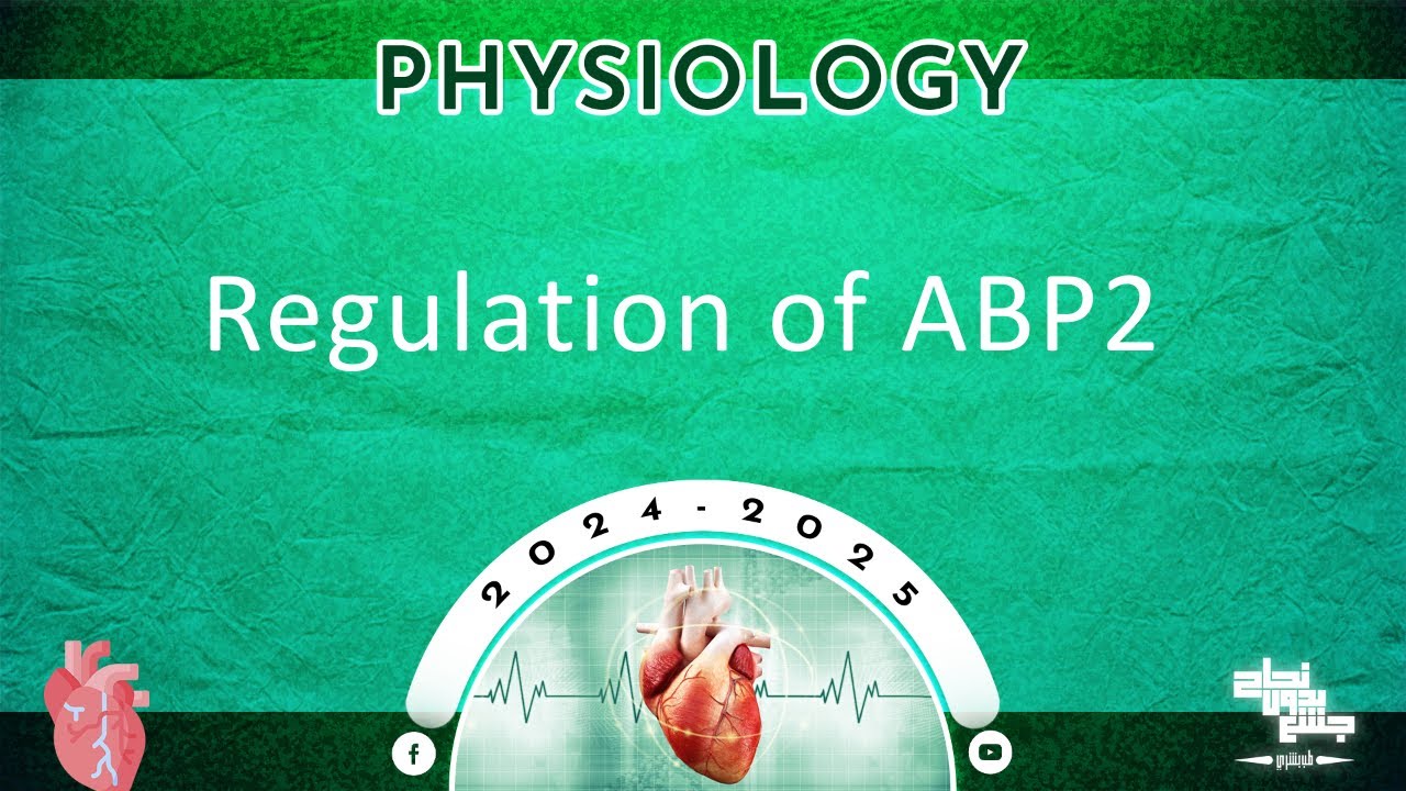 L11: Regulation of ABP 2 ; Physiology