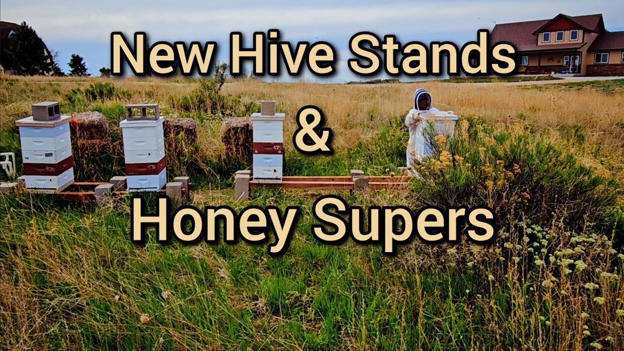 Adding New Beehive Stands & Honey Supers