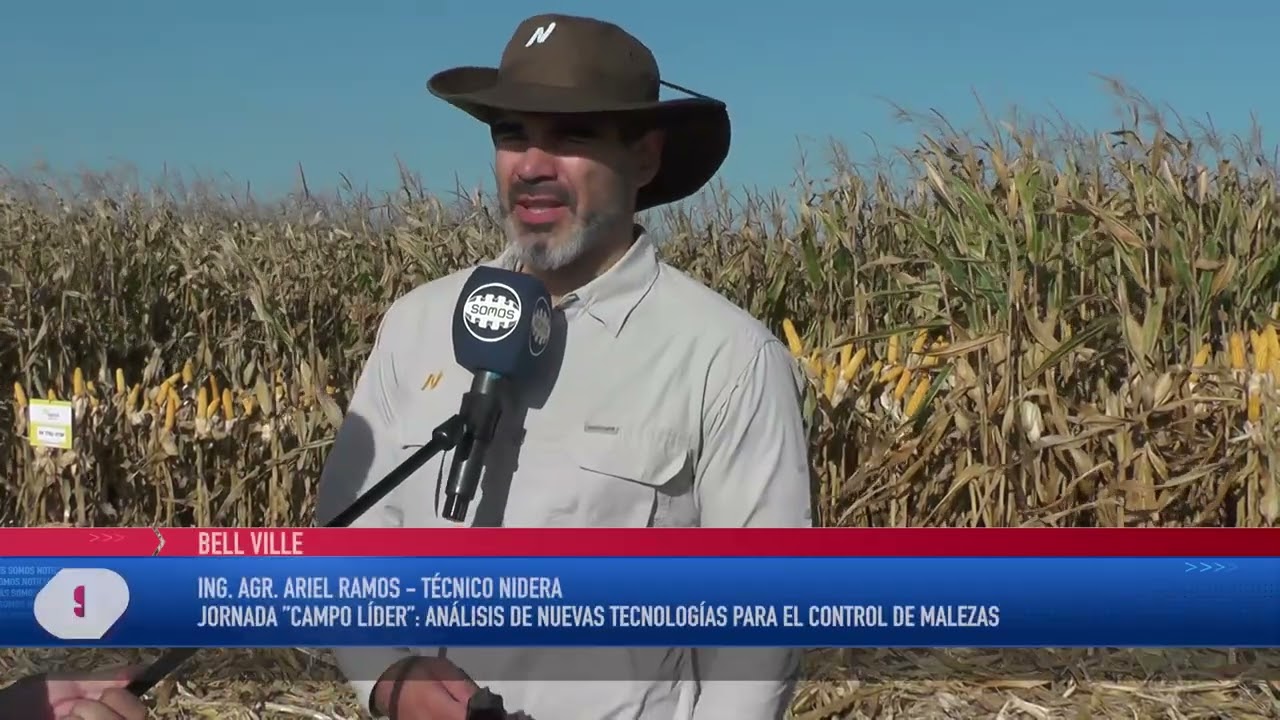”CAMPO LÍDER” - EL POTENCIAL DE NUEVOS HÍBRIDOS Y CULTIVOS ESTRATÉGICOS PARA LA CAMPAÑA AGRÍCOLA