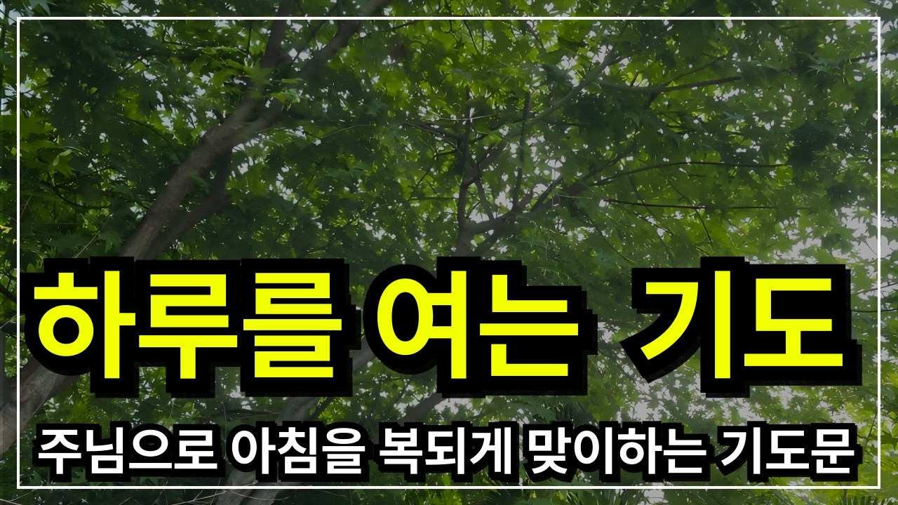 아침을 시작하는 기도 │하루를 여는 기도│기쁨기도│ 아침기도 │ 하루를 여는 기도│ 새벽기도 │아침에 듣는 기도 │ 하루를 시작 하는기도 │아침을 여는 기도 │ 아침찬양 │기도찬양