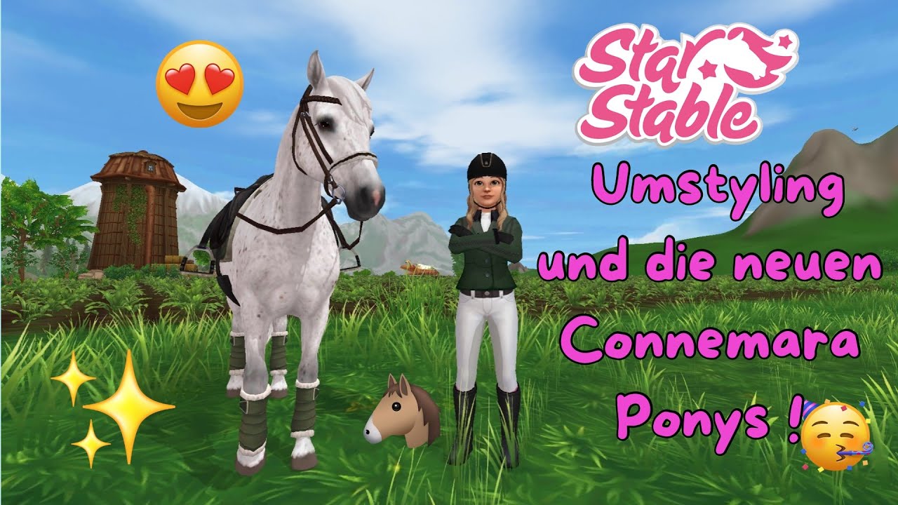 SSO – Ein neues Umstyling & neue Connemara Ponys 🐴