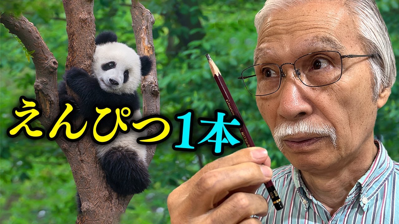 [Eng sub] I drew a cute panda with a 10B pencil!