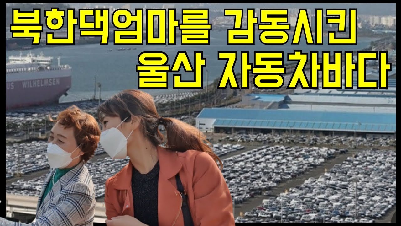 태어 나 처음 본 울산의 현대자동차와 부산의 바다 위 다리를 보고 북한댁엄마는 어떤 생각을 했을까요?