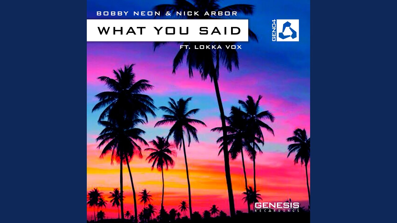 What You Said (feat. Lokka Vox)