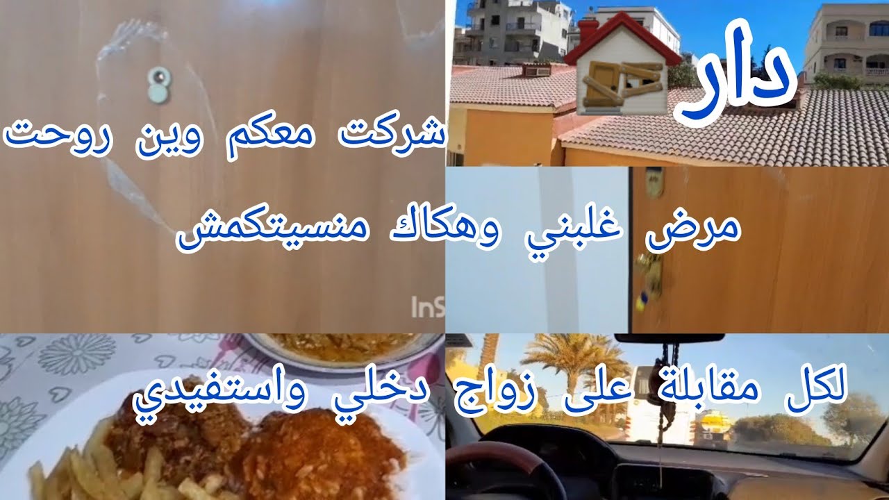 مقابلة على زواج استفدي شركت معكم وين روحت مع دار باكل تفصيل 
