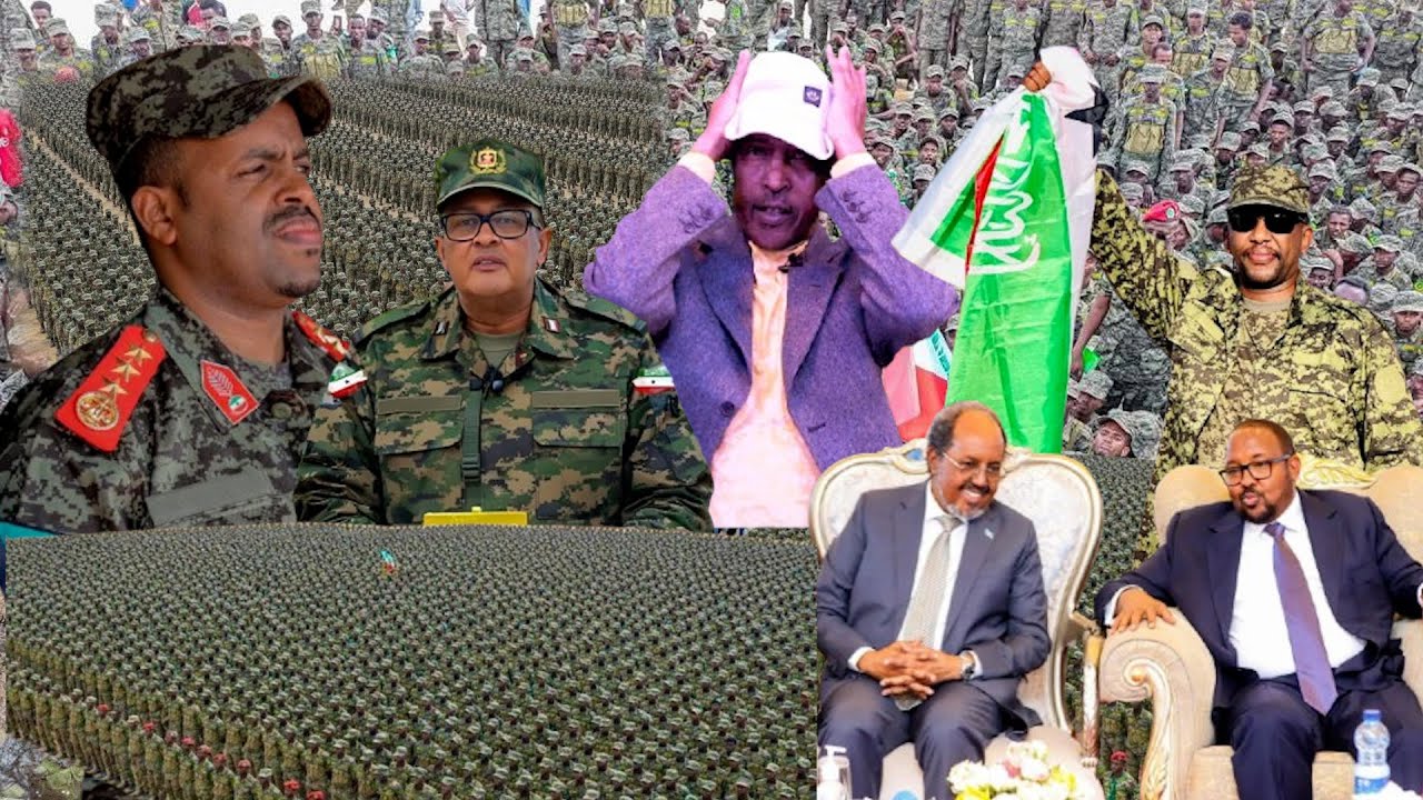 Somaliland oo Diyaarisay Ciidankii ugu Badnaa ee Xoreyn lahaa Sool Bari
