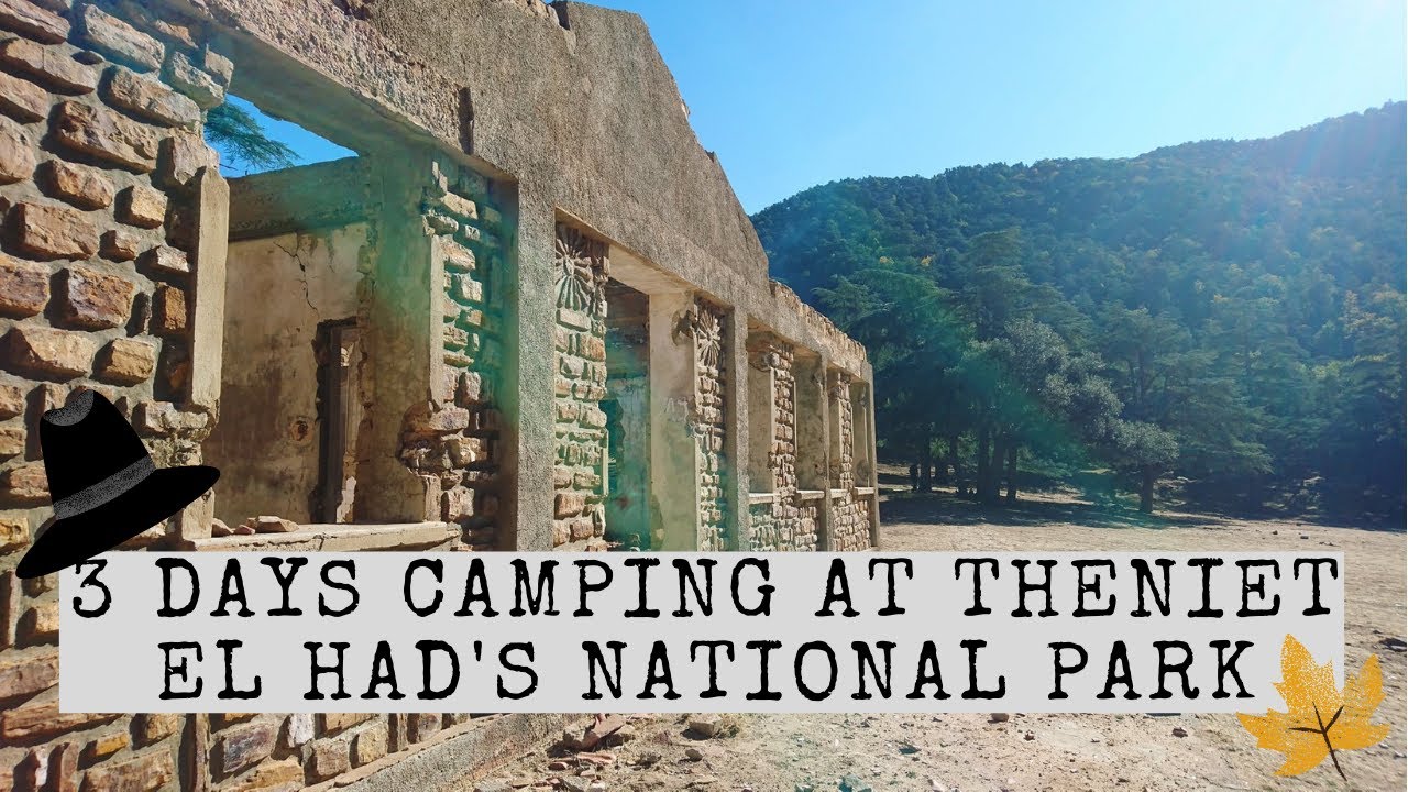 3 Days camping at Theniet el had's National park