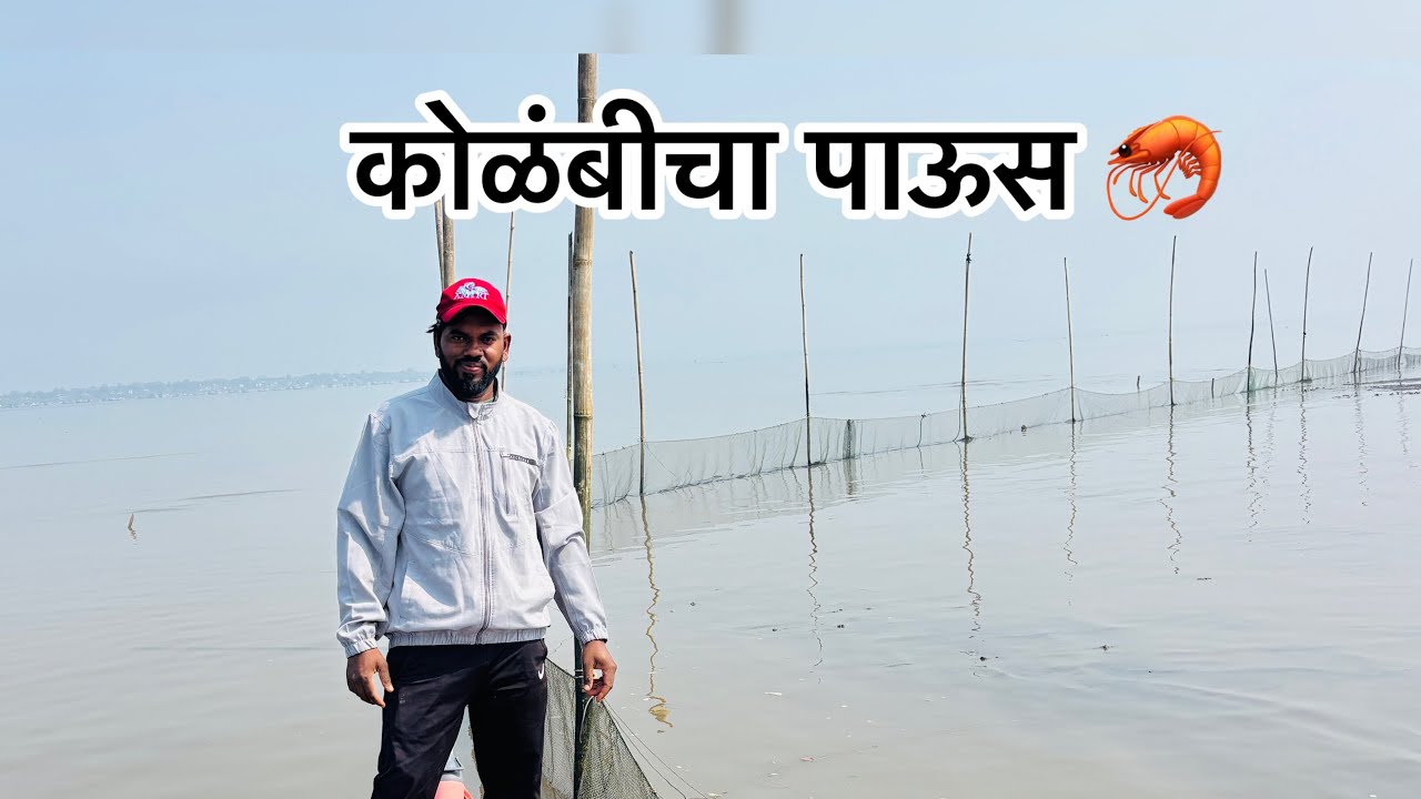 कोळंबीचा पाऊस, चमकता पाणी आल्यामुळे वाण्याला पडली कोळंबी 🦐 #prawns #🦑🐟🐠
