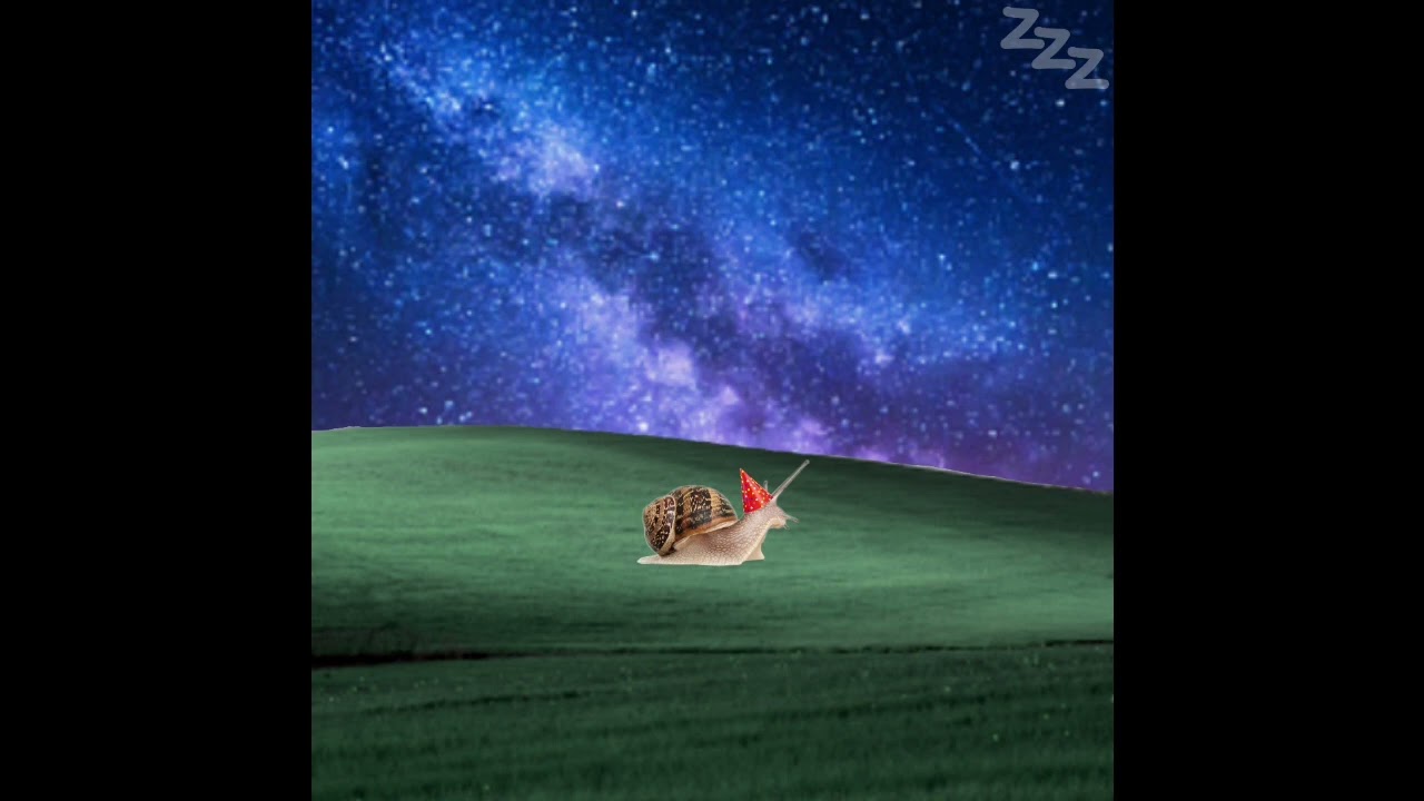 Milky Way Snails | NAPCAST